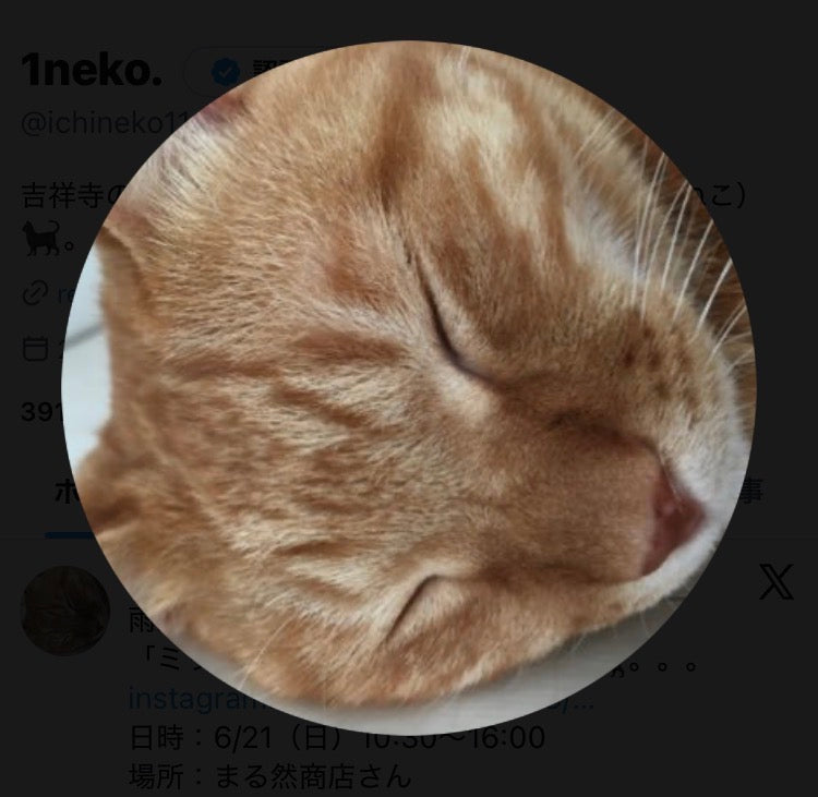 1neko.｜B2
