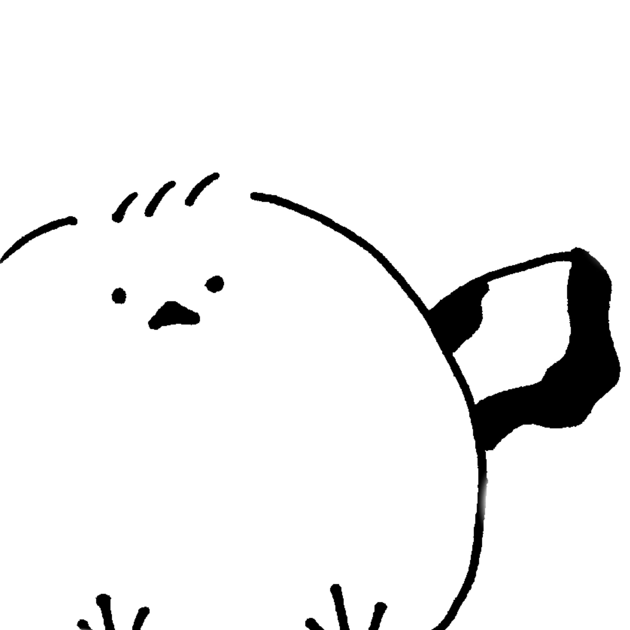 コトリノ文庫｜B6