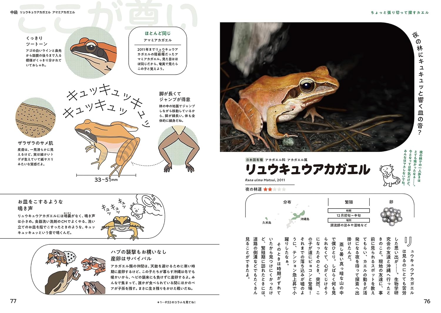 日本のカエル48 偏愛図鑑: 東大生・さこの君のフィールドノート