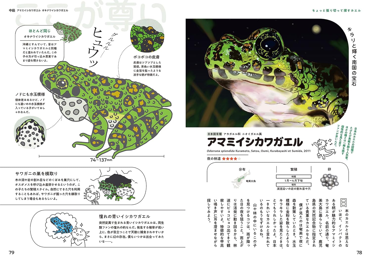 日本のカエル48 偏愛図鑑: 東大生・さこの君のフィールドノート