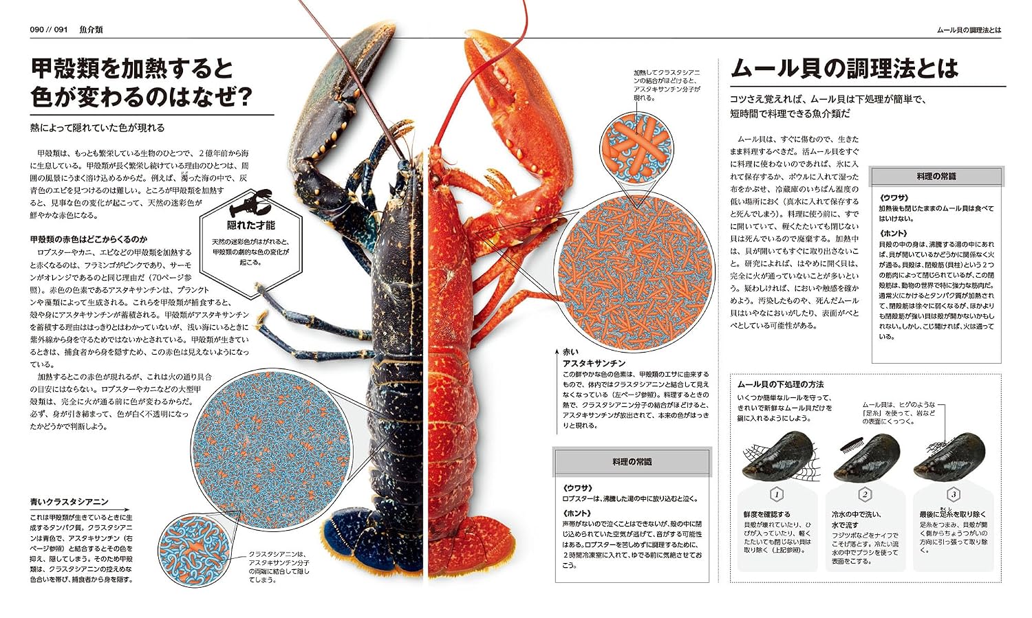料理の科学大図鑑 【コンパクト版】