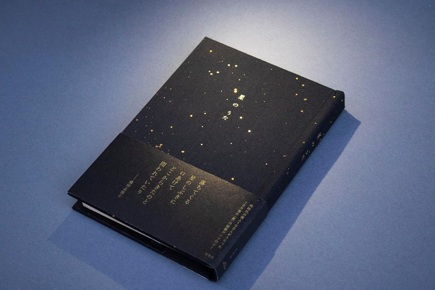 星のうた