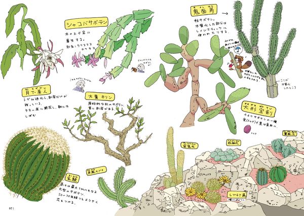 植物園の歩き方　きれい、心地よい、愛おしい さまざまな「うつくしい」を求めて