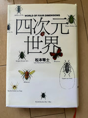 四次元世界