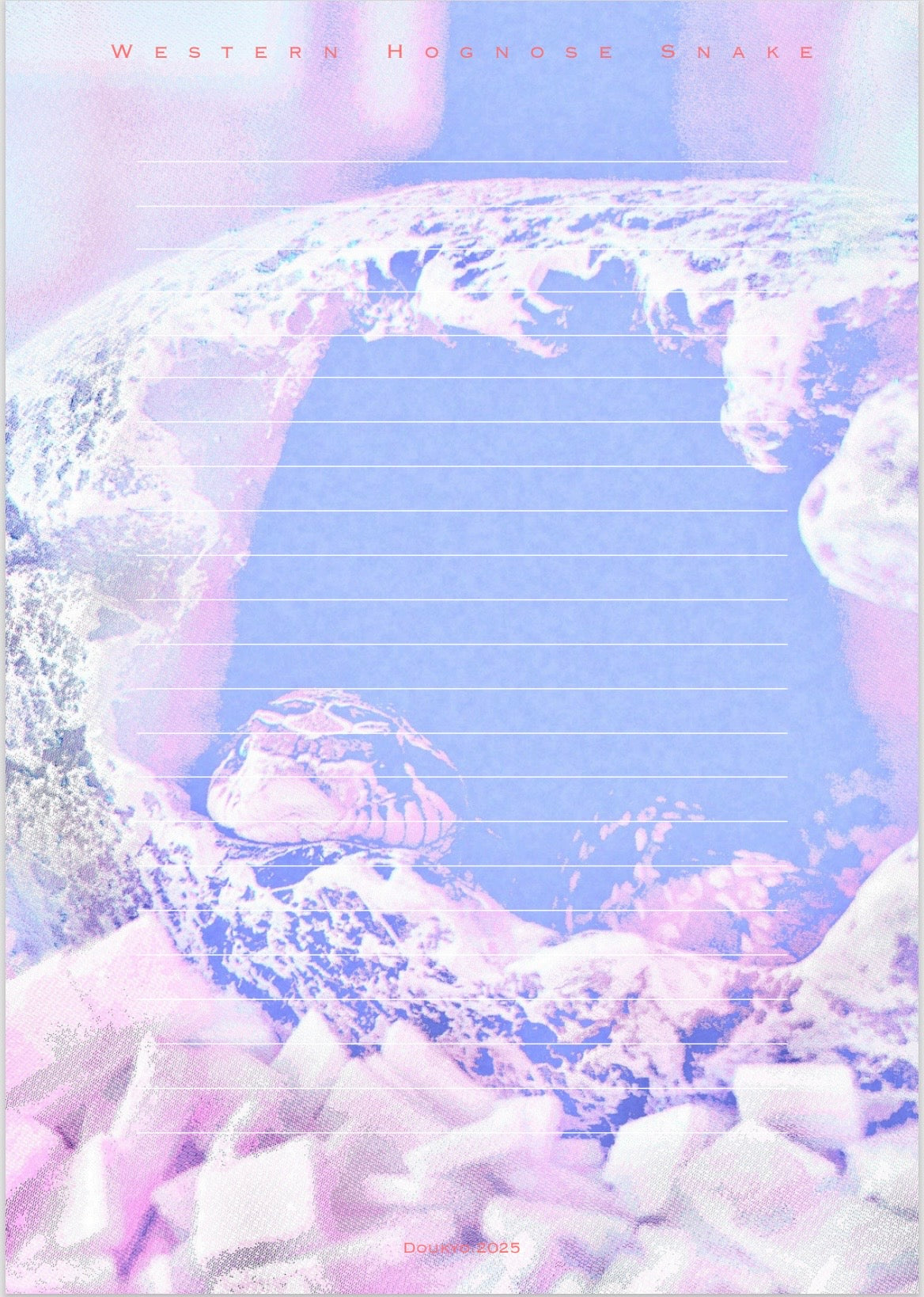 レターセット / セイブシシバナヘビ