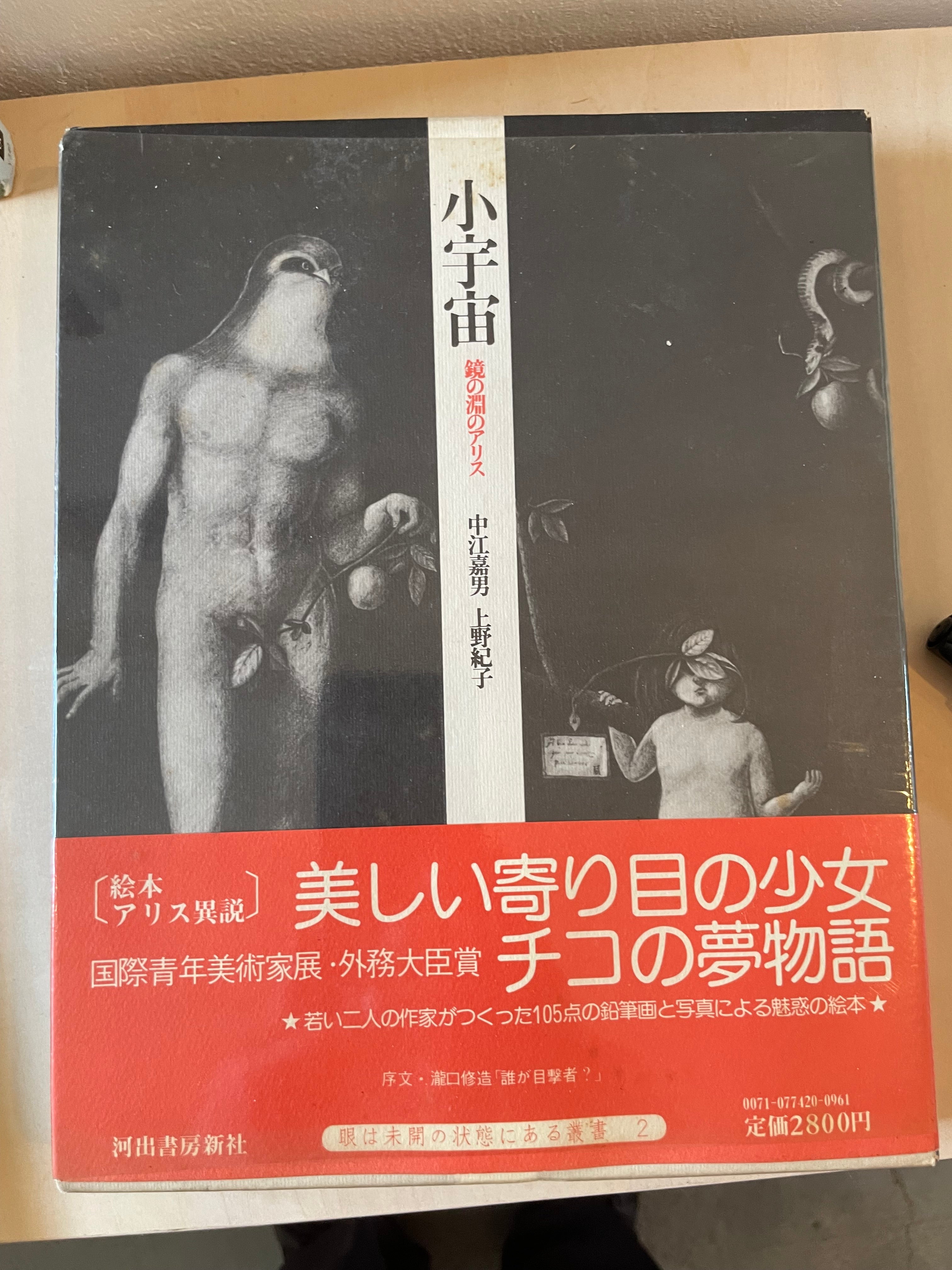 小宇宙　鏡の淵のアリス