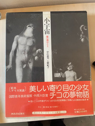 小宇宙　鏡の淵のアリス