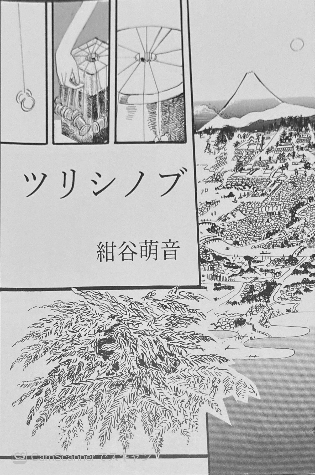 ツリシノブ