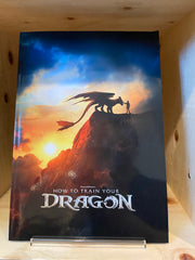 実写版『ヒックとドラゴン』パンフレット