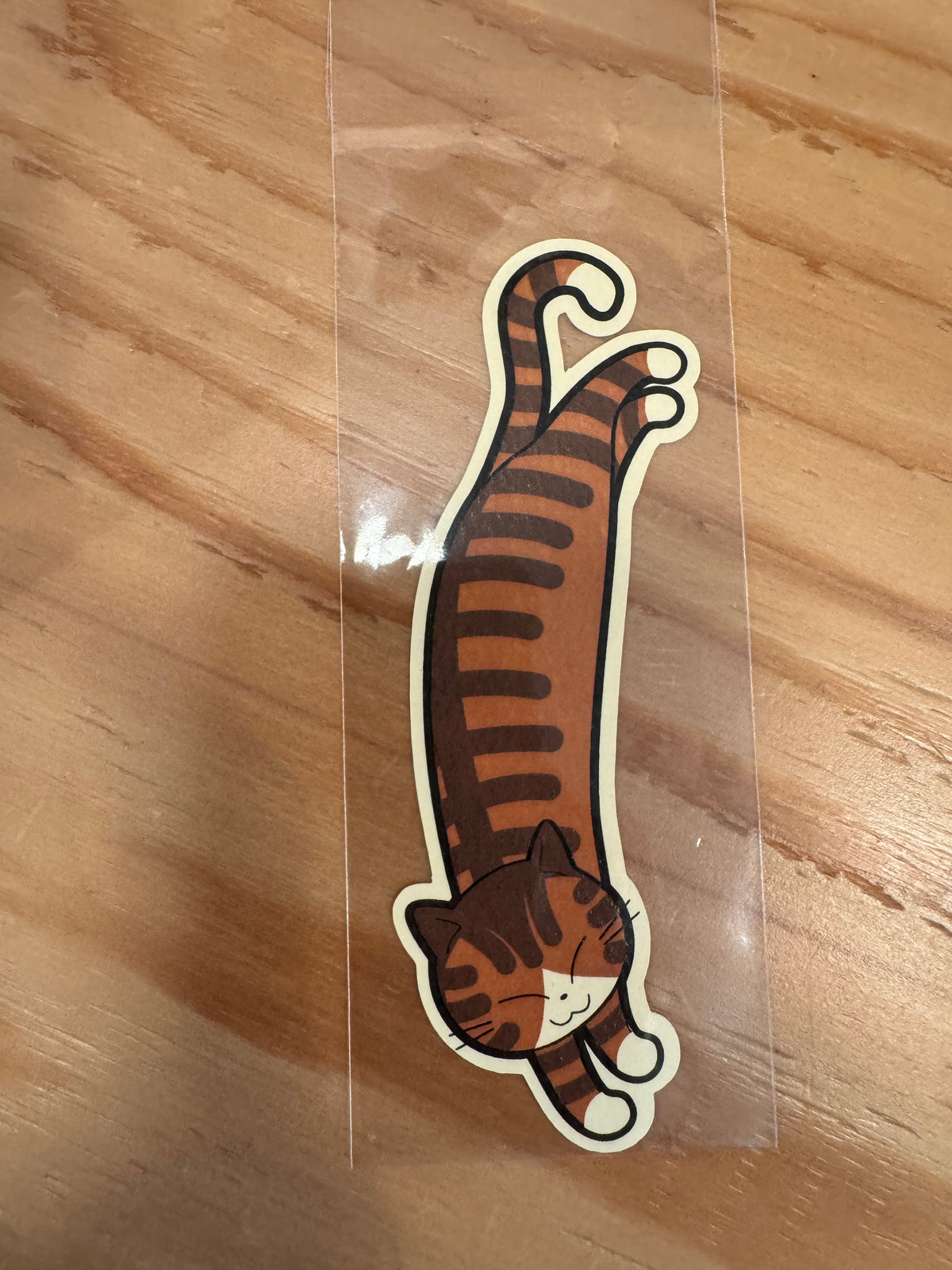 しおり 茶トラハチワレソックス