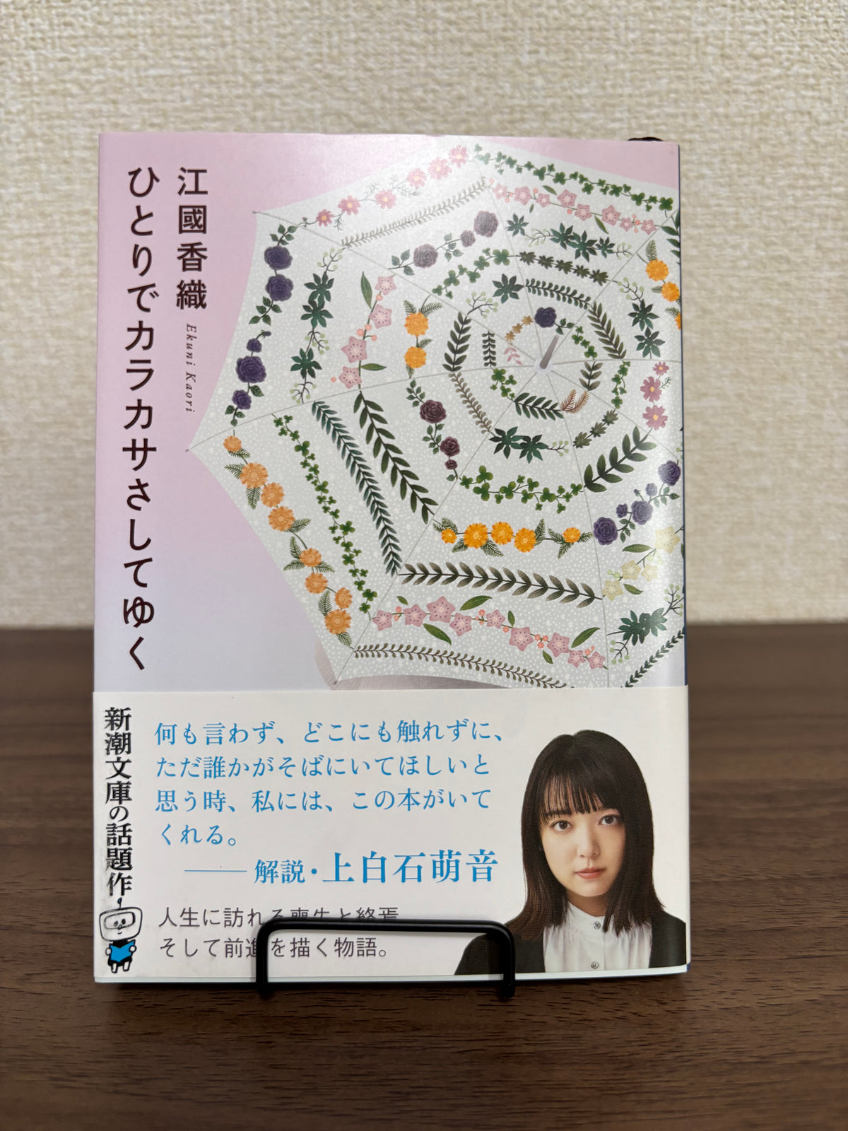 ひとりでカラカサさしてゆく