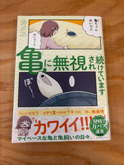 亀に無視され続けています
