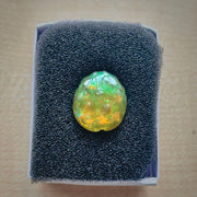 ツノガエルの概念 / ピンバッジ / グリーン