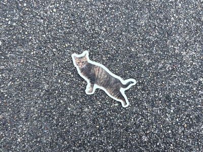 うちのねこステッカー（モモ）