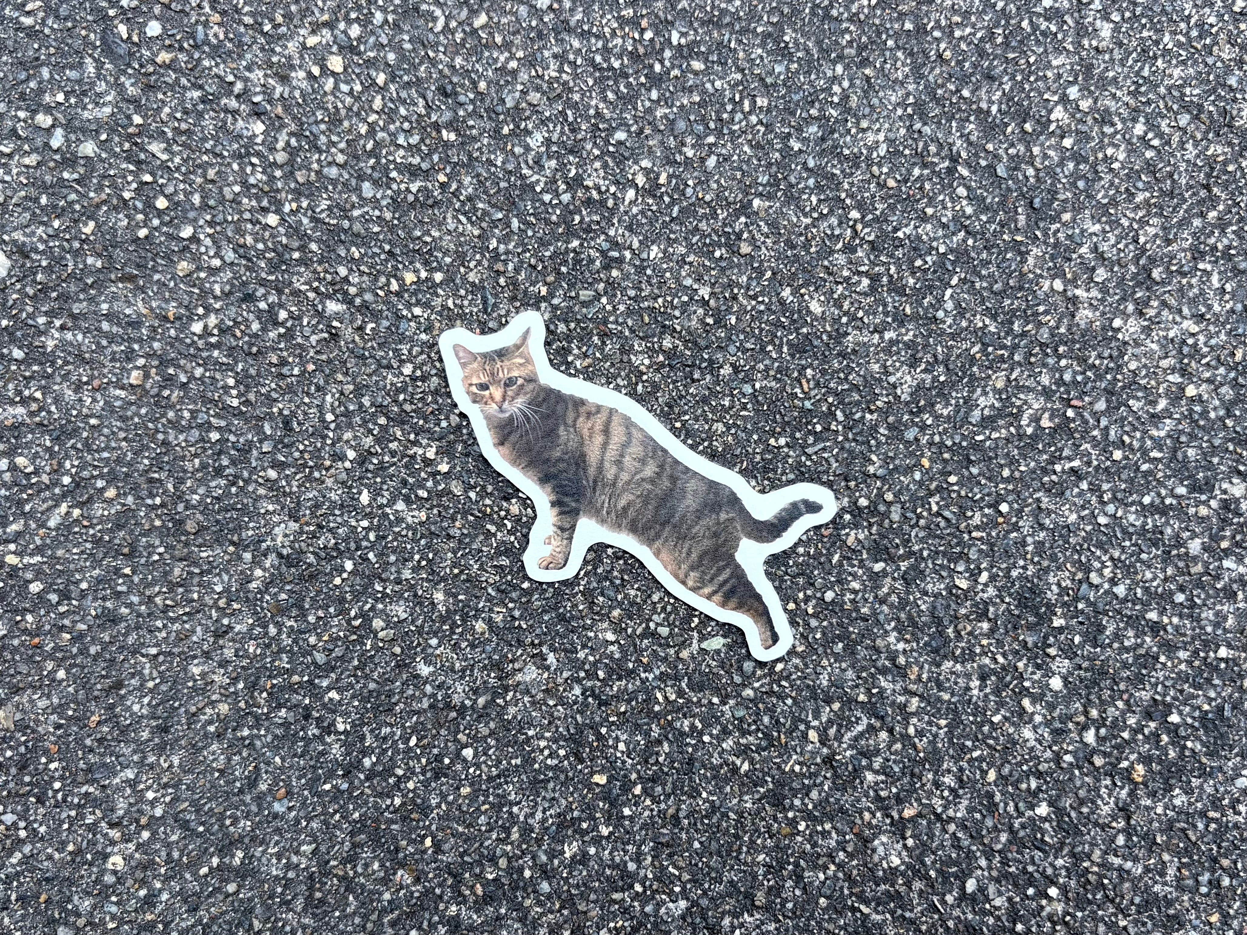 うちのねこステッカー（モモ）
