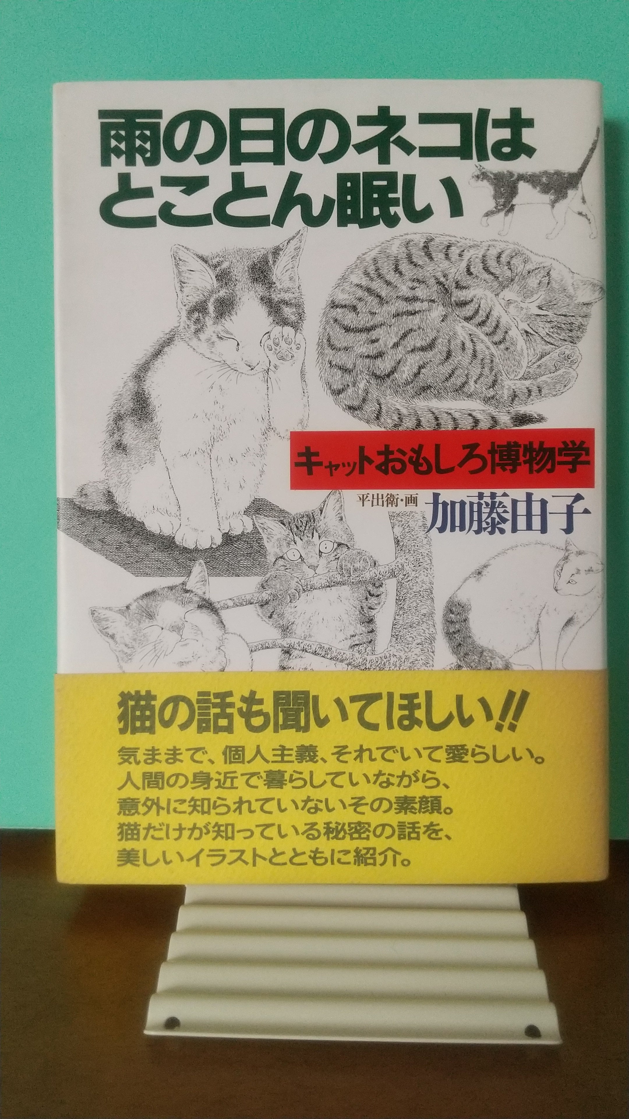 雨の日のネコはとことん眠い