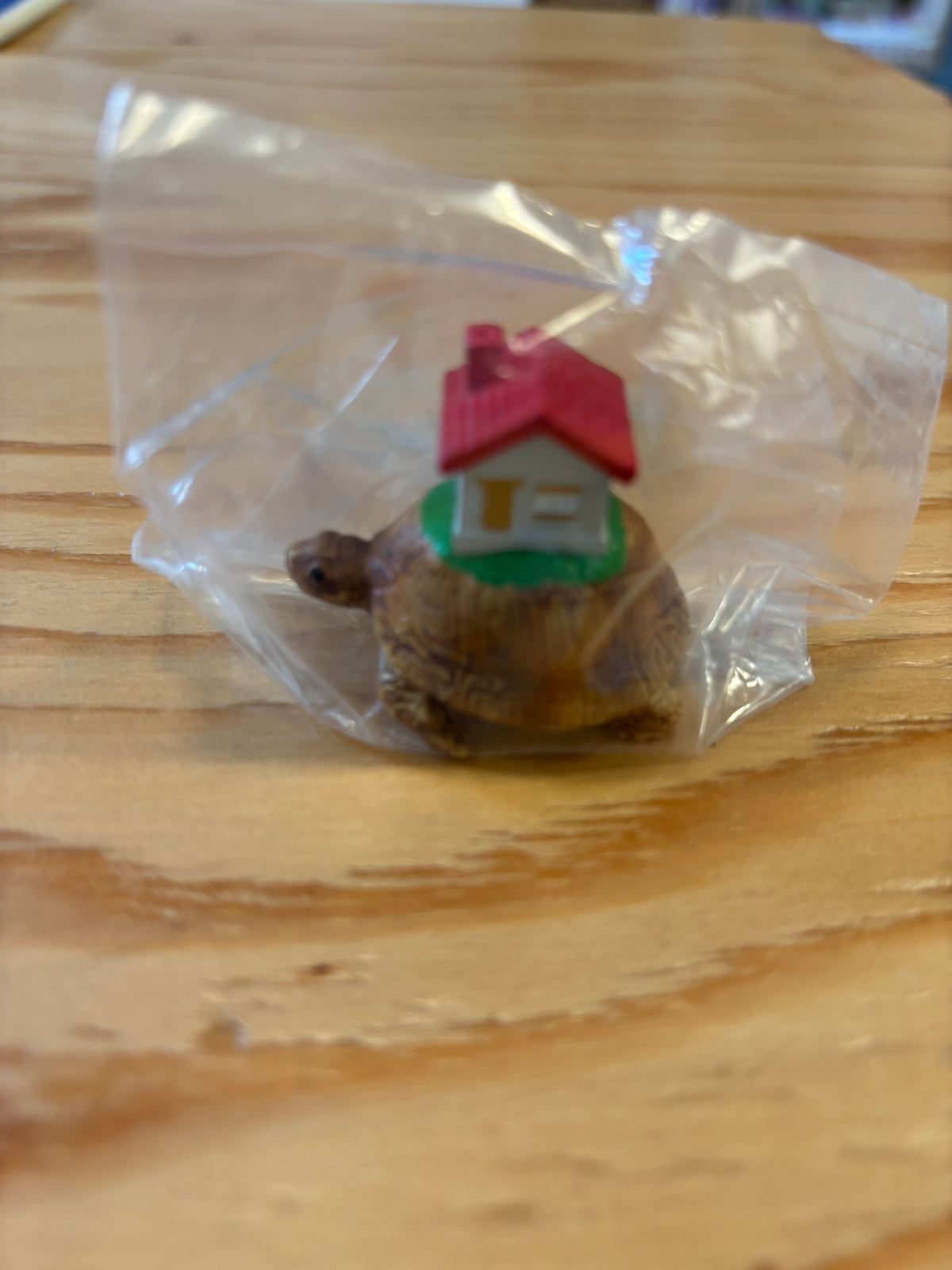 ガチャガチャ「お家を乗せたカメ」