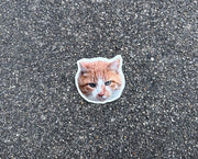うちのねこステッカー（ピーマン顔）
