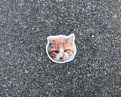 うちのねこステッカー（ピーマン顔）