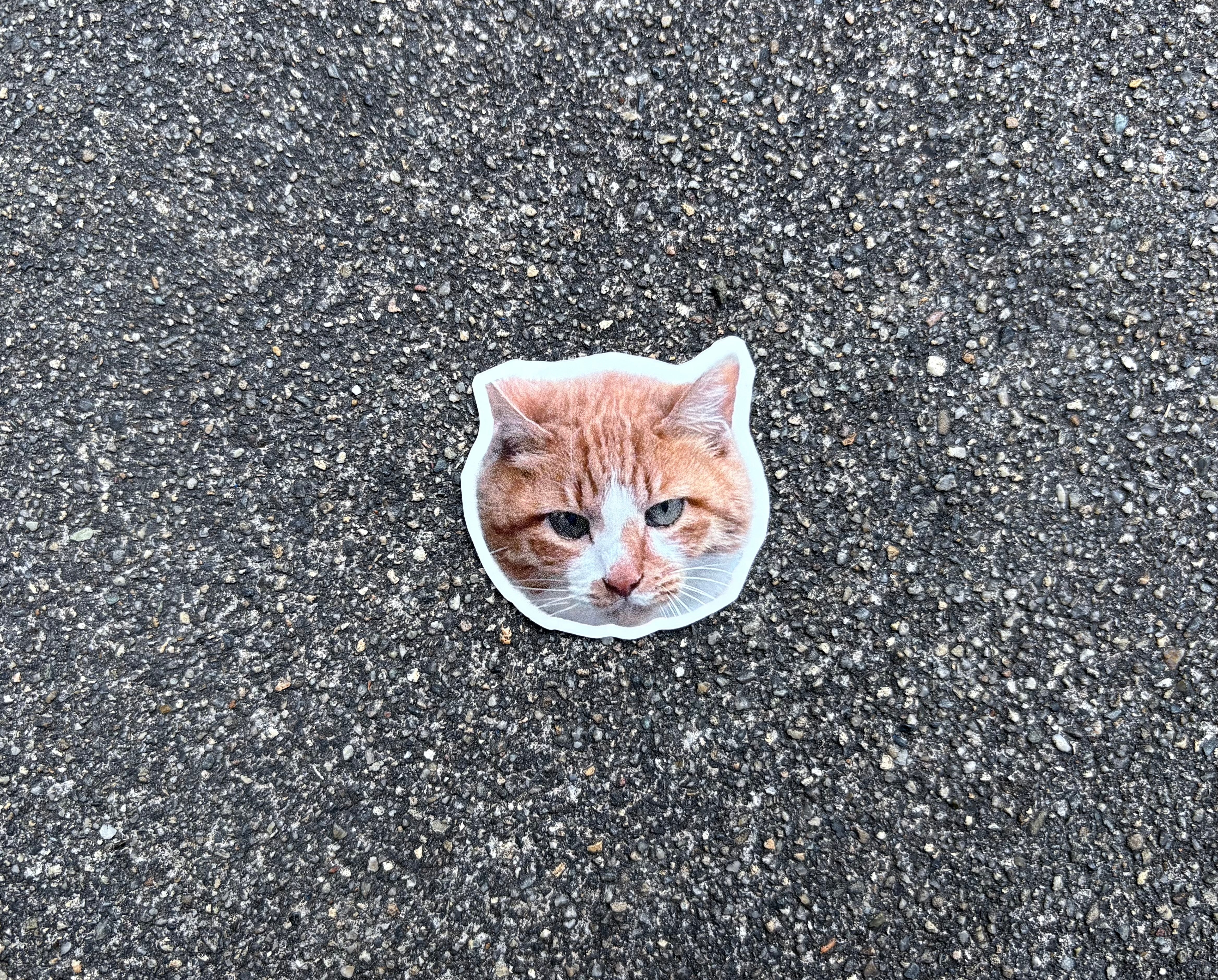 うちのねこステッカー（ピーマン顔）